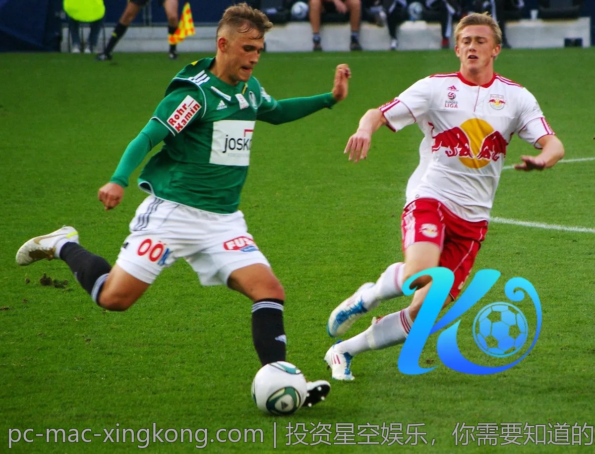 投资星空娱乐，你需要知道的风险与收益