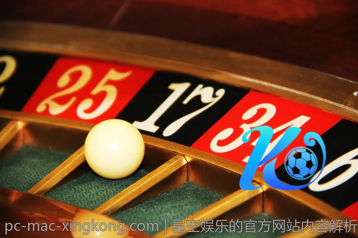 星空娱乐的官方网站内容解析，值得关注！