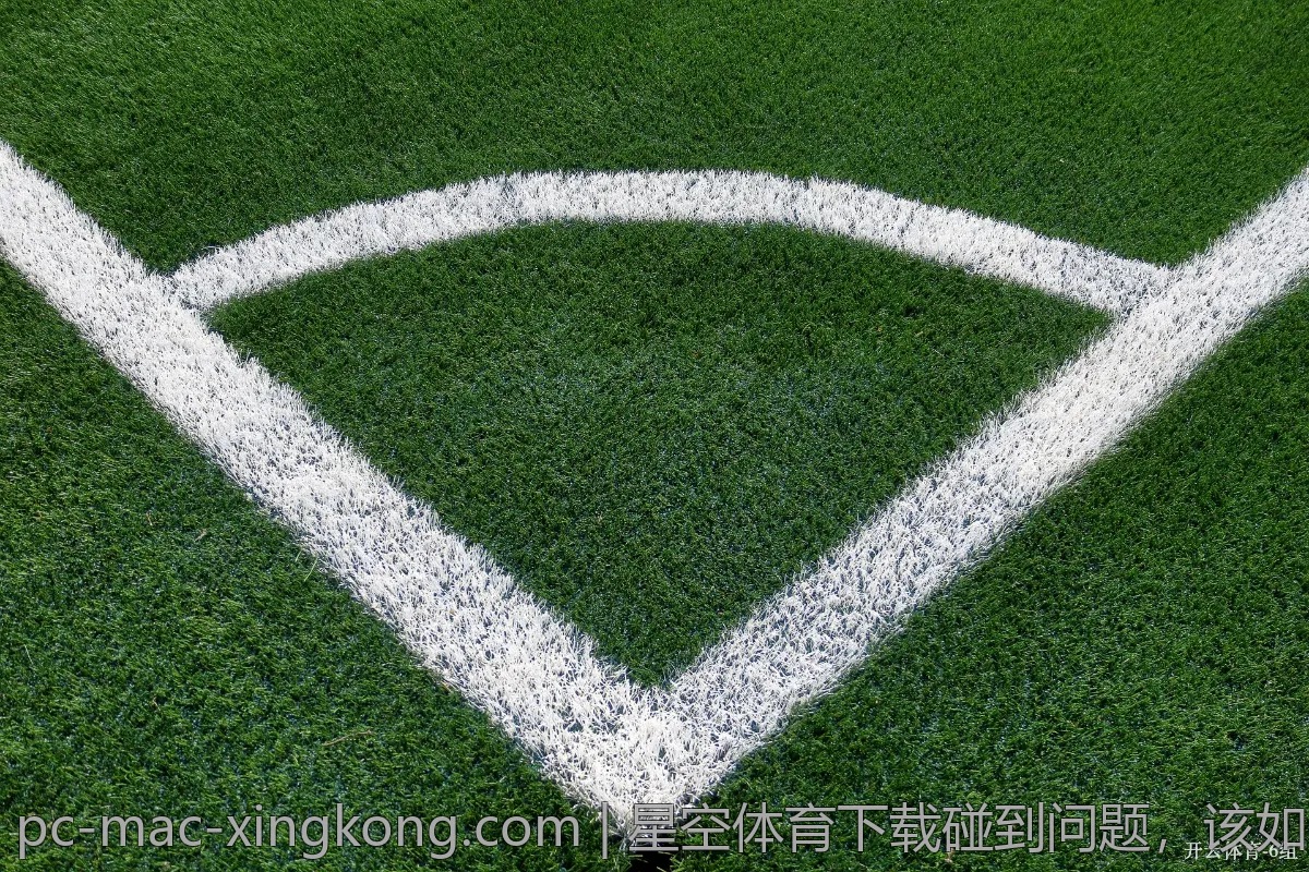 星空体育下载碰到问题，该如何解决？
