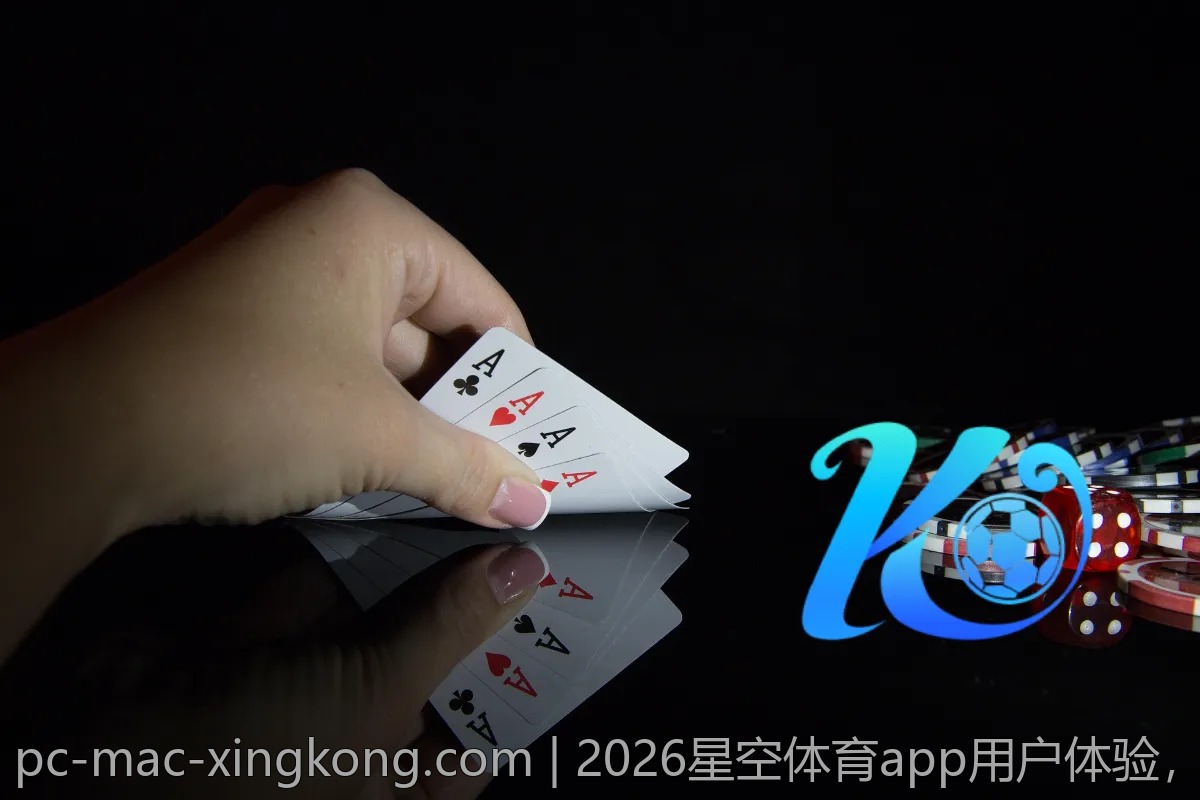 2026星空体育app用户体验，满意度调查结果