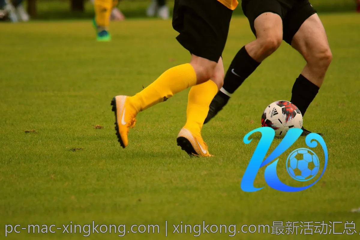 xingkong.com最新活动汇总，不容错过的精彩瞬间